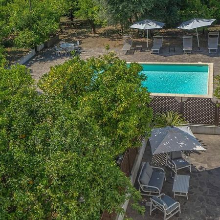 Casa Gege', For Up To 5 Guests, Shared Pool, Sorrento Center 아파트 외부 사진