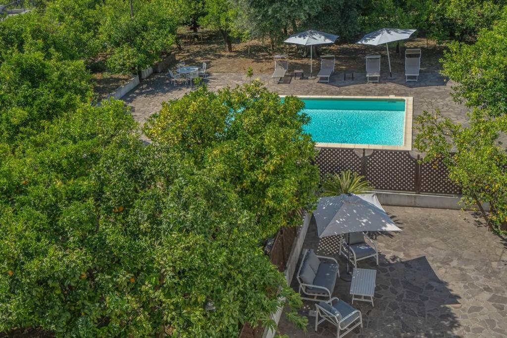 Casa Gege', For Up To 5 Guests, Shared Pool, Sorrento Center 아파트 외부 사진